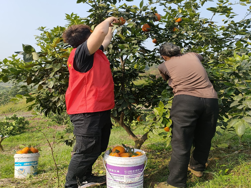 图片3.png 图片3.png