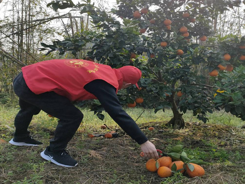 图片4.png 图片4.png