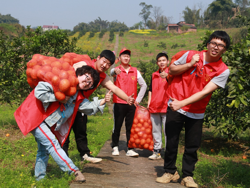 图片6.png 图片6.png